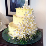 ラヴィマーナ アネックス パチャ - 