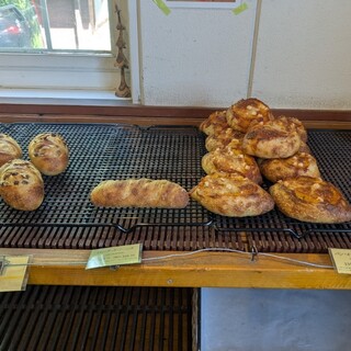 バックハウス インノ_1