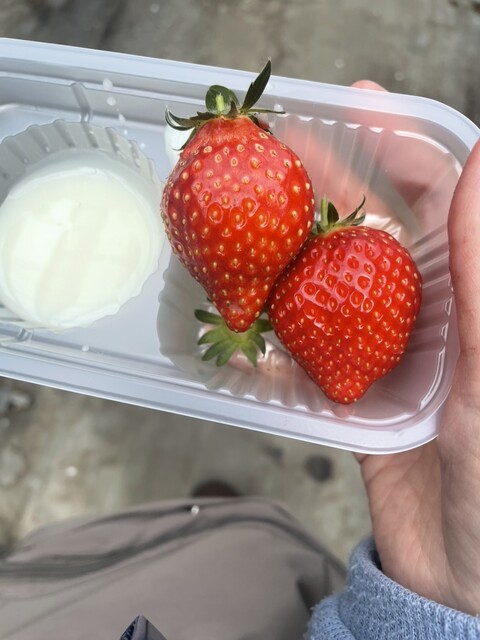 やまもと夢いちごの郷 - 坂元（その他）の写真