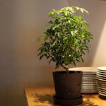 スガハラ - 内観