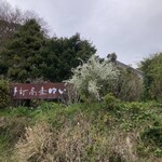 手打蕎麦ゆい - 