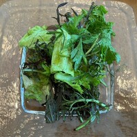 PASTA HOUSE AWkitchen FARM 多摩センター店 - 