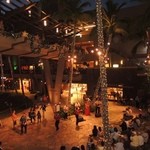 Island Vintage Coffee - 店内からの眺め