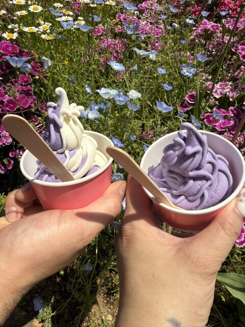 コスモス館 （コスモスカン） - 京急久里浜/ソフトクリーム | 食べログ