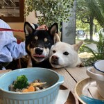 DOG DEPT お台場東京ビーチ店 - 