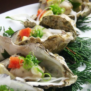 能盡享各種各樣的 【廣島牡蠣料理】 !