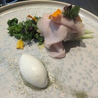 TOKi - 