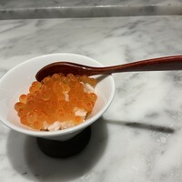 銀座 鉄板焼 向日葵 - ミニイクラ丼