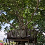 のうえんカフェ - 