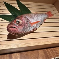 のどぐろ専門 銀座中俣 極 - 