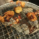 炭火焼肉ホルモン みなみ - 