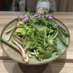 パルコ フィエラ - 