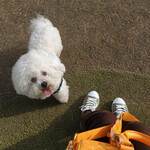 ホーム・ベース