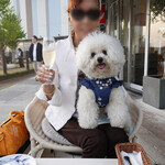 ドッグランが見えるテーブル