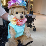 Les deux Bleue - こんな方も、あんな方も！