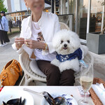 Les deux Bleue - ママと一緒に座るのが得意