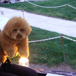 Les deux Bleue - パパが片手で〜ひょい！