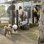 Les deux Bleue - 西陽を浴びて・・先ずご挨拶