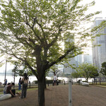 Les deux Bleue - 東京湾が見えるドッグラン