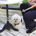 Les deux Bleue - カフェでホッ！と一息