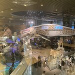 ムーセイオン - 席から見える展示室。ガラス張りなので反射してしまいます。