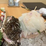 祥吉 - オコゼの姿造り　食感がとても良く美味しい