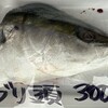 寺泊中央水産 まるなか