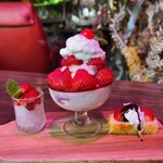 秘密基地植物園   - 料理写真: