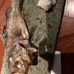 とっぴんぱらりのぷ - 