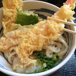 本格手打ちうどん とも作 - 海老　デカいが衣も厚め！