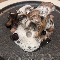 L'Arbre - 