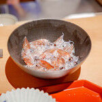 御料理ふじ居 - ホタルイカ。この後光ります