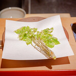 御料理ふじ居 - こごみ/コシアブラ/タラの芽