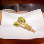 御料理ふじ居 - こごみ/コシアブラ/タラの芽