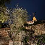 La Piazzetta Italiana - 夜の風見鶏