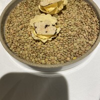 ヴォーロ・コズィ - 