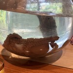 日本料理 別府 廣門 - 