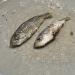 日本料理 別府 廣門 - 