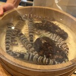 日本料理 別府 廣門 - 