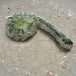 日本料理 別府 廣門 - 