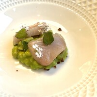 anchoa - 