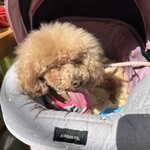 大衆食堂みゆき - 日当たり良くてちょっと暑いらしい？