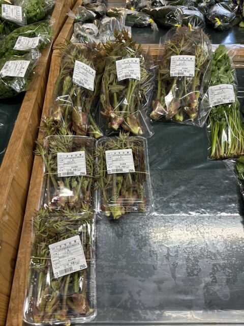 川の駅 よこた - 陸前高田（その他）の写真