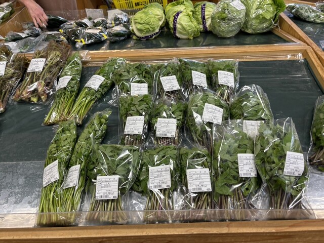 川の駅 よこた - 陸前高田（その他）の写真