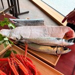 LAT.34°N by 蒼 - 本日の食材