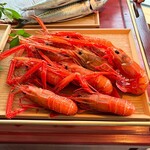 LAT.34°N by 蒼 - 長井さかな人長谷川さんより 赤座海老