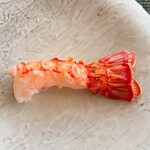 LAT.34°N by 蒼 - 長井さかな人長谷川さんより 赤座海老