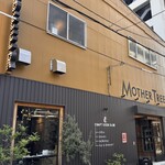 CRAFT BEER BASE MOTHER TREE - 