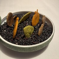 OTTO SETTE - 