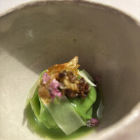 OTTO SETTE - 